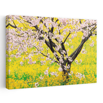 Flowering Cherry Tree In Mustard Field Abstract Contemporary Cherry Flower Landscape Art