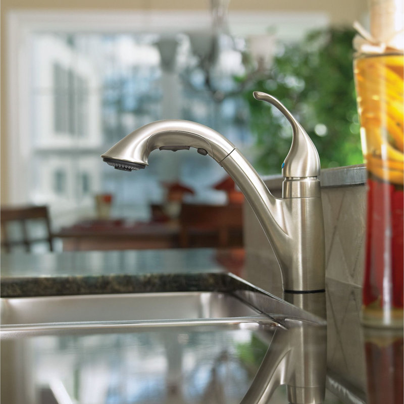 Camerist Pull Out Single Handle Kitchen Faucet with Duralock, Chrome
