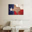 Carte d'État sur le drapeau du Texas, 3 pièces-92829658