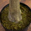 13 pi Eucalyptus artificiel