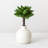 Succulent Plant Pick