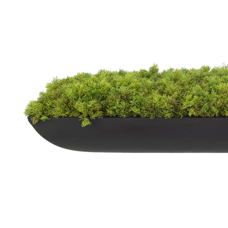 Moss 6" Artificial in Fiberstone Planter, Black, 6"H x 22"W x 7"D