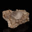Simple Dolomite