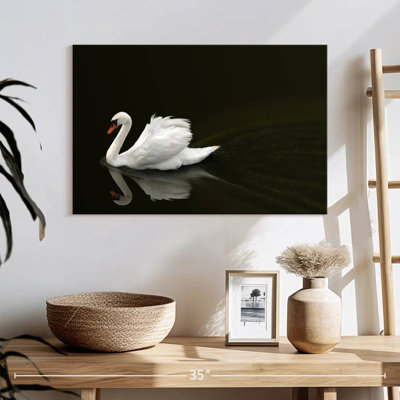 Brampt White Swan Elegance