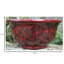 Kylemore Hand-Painted Pot Planter-34359772