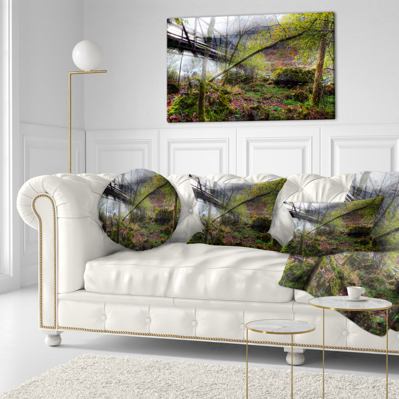 Throw Pillow