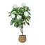 5' Hydrangea Drop-In Tree with Bamboo-Wrapped Cement Pot