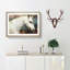 White Horse Portrait - Picture Frame Painting Print-56739170-56739171