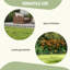 Corra 28 cm H x 243 cm W Lawn Edging Fencing with 1 Panel(s) Included