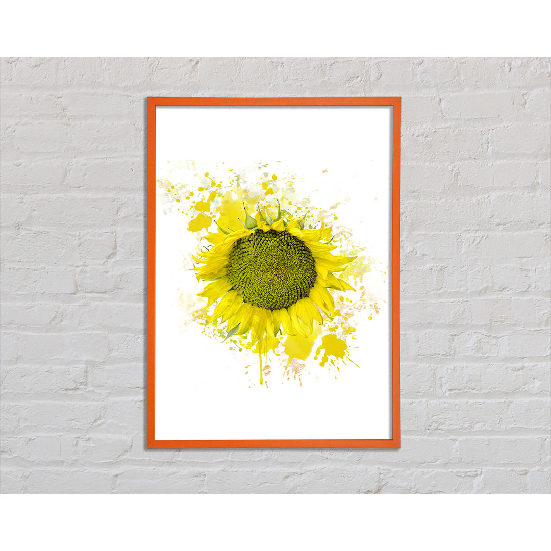 Miacomet Sunflower Splash 2 - Einzelner Bilderrahmen Kunstdrucke