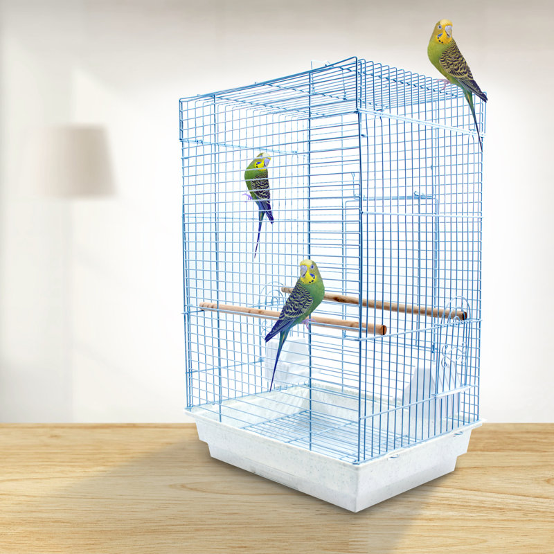 Ensemble de démarrage moyen pour cage à oiseaux - dôme carré - blanc