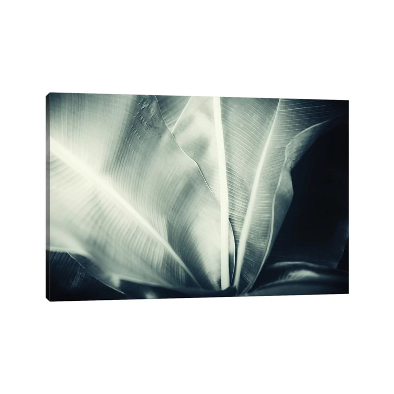 Botanical I 1 Piece Wall Art on Canvas, 66.04cm H x 101.6cm W