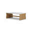 Modern Coffee Table, Organic Shape Accent Table