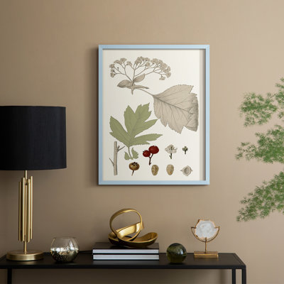 Leaves & Berries II Framed Print - Solid Wood