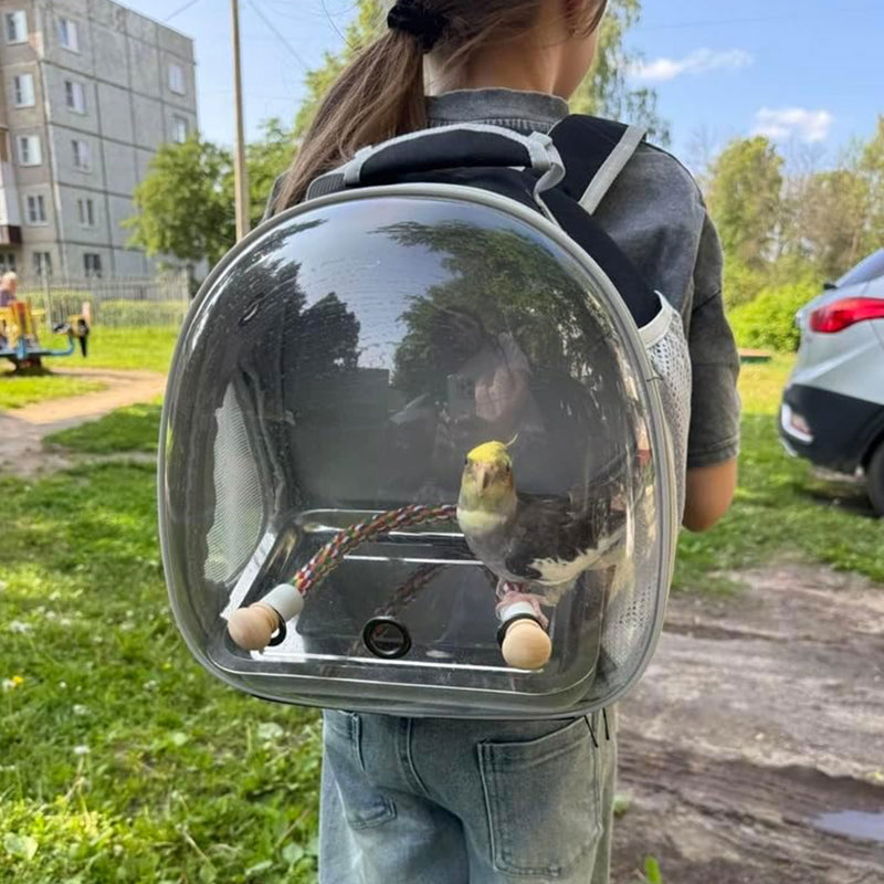 Sac à dos de transport pour petits oiseaux avec support et plateau métallique, sac transparent à bulles pour transporter une perruche calopsitte, noir