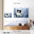 Winter Border Collie-107879820