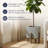 Habra Square Standing Pot Planter
