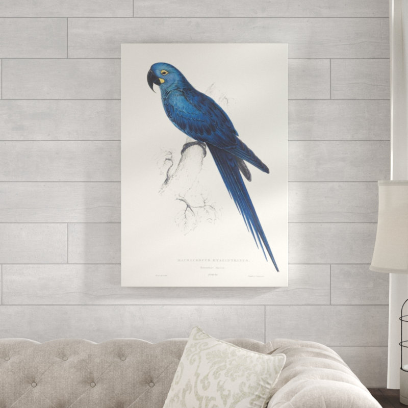 Hyacinthine par Edwardet - impression sur toile tendue, H 35 po x l 24 po x P 1,5 po, Couche de verre