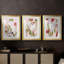 Birds in Motion I - Impression personnalisée de qualité supérieure avec cadre - 3 pièces-1936929860