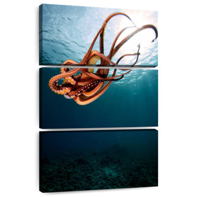 Brampt Diving Octopus