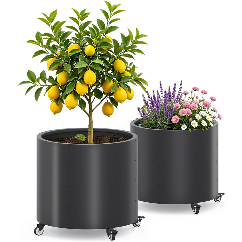 Ensemble de 2 boîtes à fleurs rondes en métal pour l'extérieur, Noir
