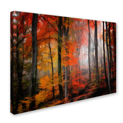 « wildly red », reproduction de photo sur toile