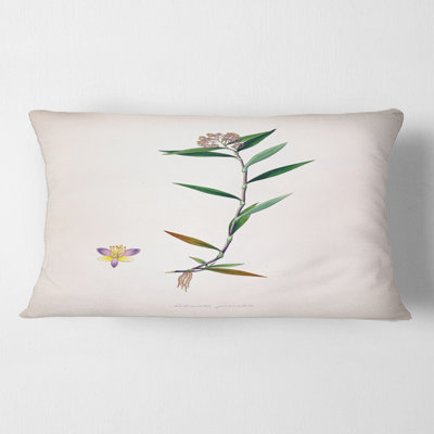 Vintage Botanicals XIX - Farmhouse Printed Throw Pillow