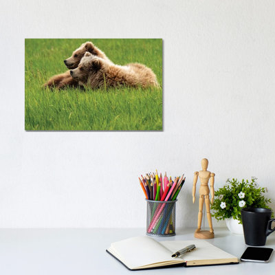 Two Grizzly Bears On Grass, Alaska, Usa by George Theodore - Wrapped Canvas Print