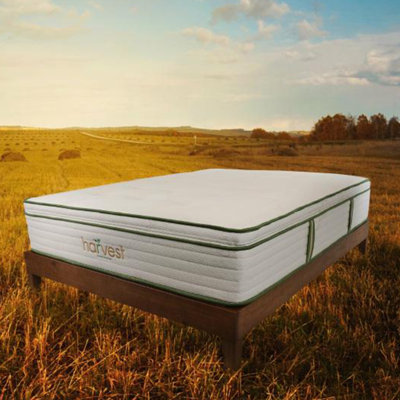Matelas hybride moyen végétalien 13 po Vegan
