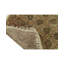 Wool Oriental Area Rug