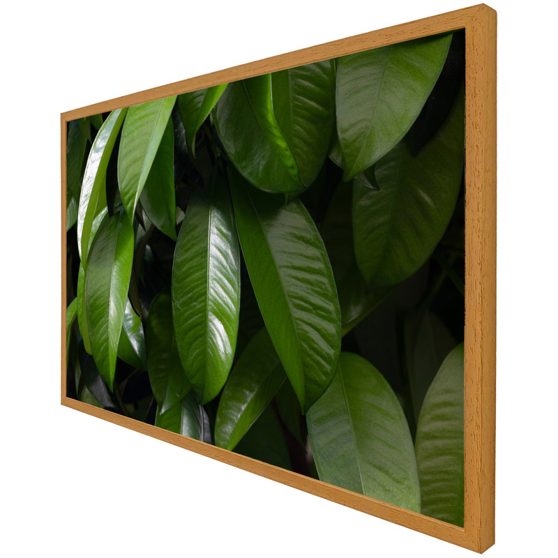 Aadriti Single Picture Frame Print, 76cm H x 114cm W x 4cm D, Oak Framed