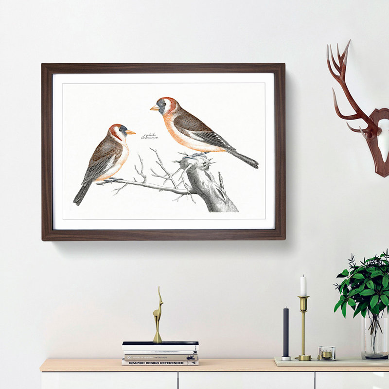 Goldfinches by Johan Teyler - Picture Frame Painting Print, Walnut Framed, 36cm H x 48cm W x 2cm D