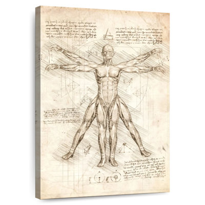 Keiri Vitruvian Man