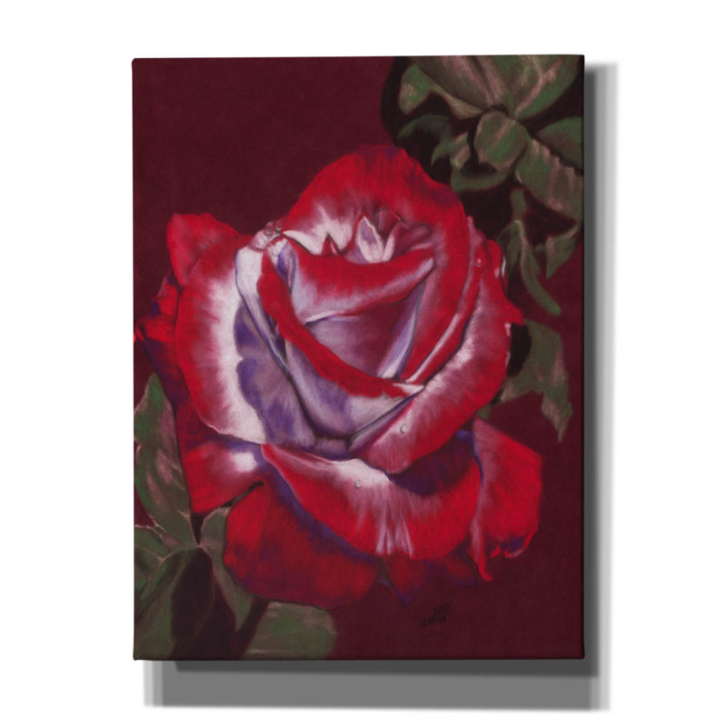 'Ruby' by Barbara Keith, Canvas Wall Art, 16" H x 12" W x 0.75" D
