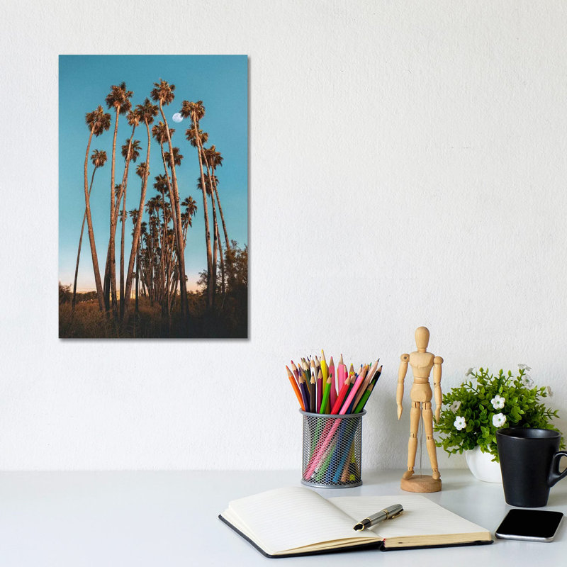 Palms by Nirs Photography - Wrapped Canvas Print, 20.32 cm H x 30.48 cm W