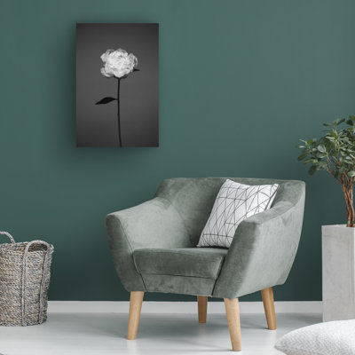 Art sur toile, Antonida Frolova
