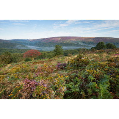 " Quantock Hills " by Esentunar