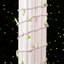 Guirlande lumineuse 50 lumières-18382051