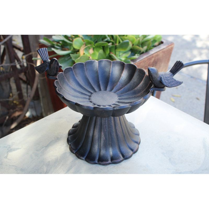 Bain d'oiseaux de table jihane