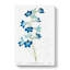 Blue Larkspur Flowers - Wrapped Canvas Painting-55304291