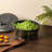 Zyliss Classic Easy Spin Salad Spinner Small (2-4 Servings)