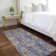 Killingly Washable Oriental Indoor / Outdoor Rug