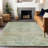 Machine Washable Indoor/Outdoor Claudian ACN1636 Sage Rug-104240217