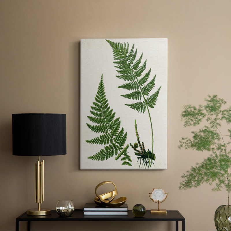 Fougère II - galerie Cavas sur mesure