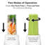 Tribest 16oz. Personal Blender-40715340