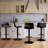 Beora Modern Swivel PP Adjustable Height Bar Stool, Set of 4-349828734-343280310