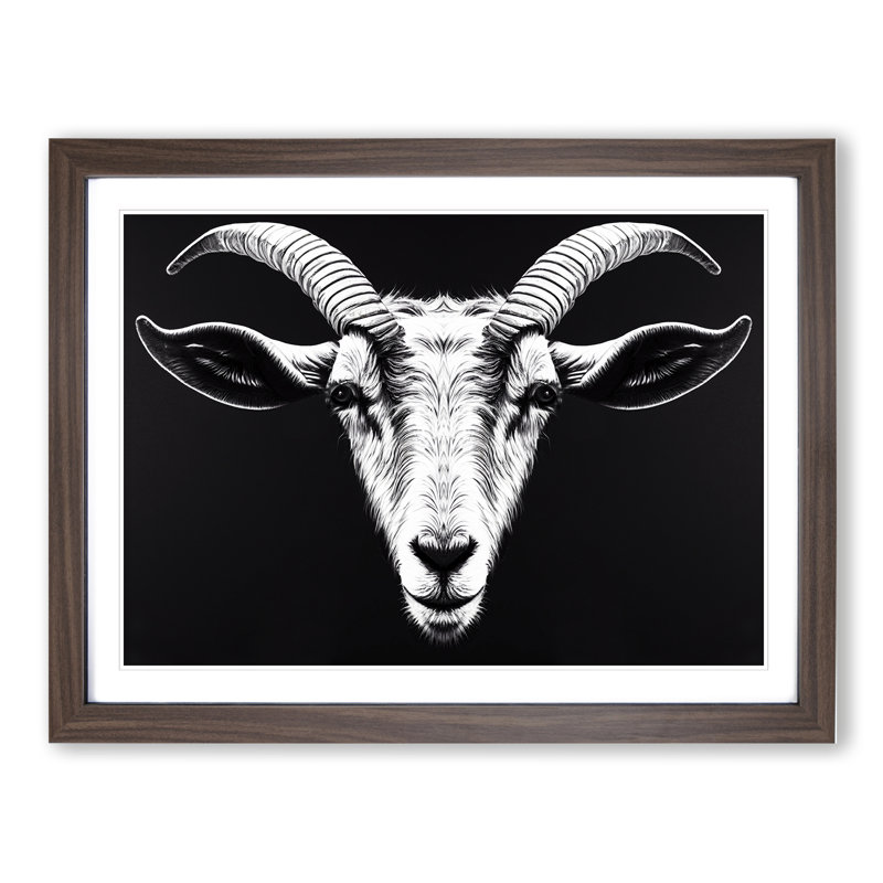 Goat Portrait Vol.3 - Framed Print