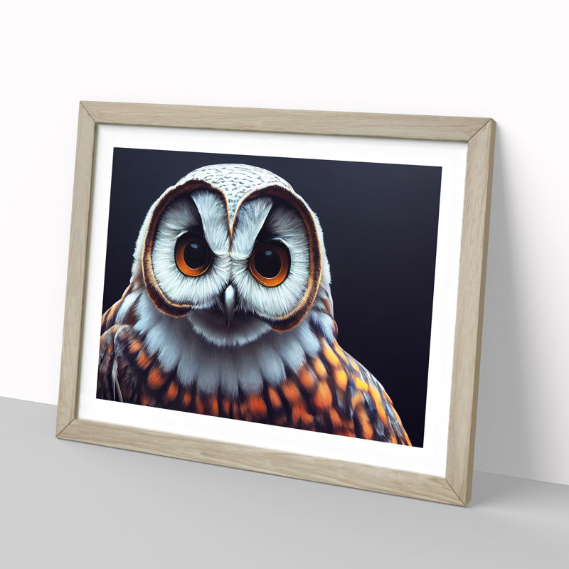 Face Of An Owl Vol.3 - Single Picture Frame Print, 46cm H x 64cm W x 2cm D, Oak Framed