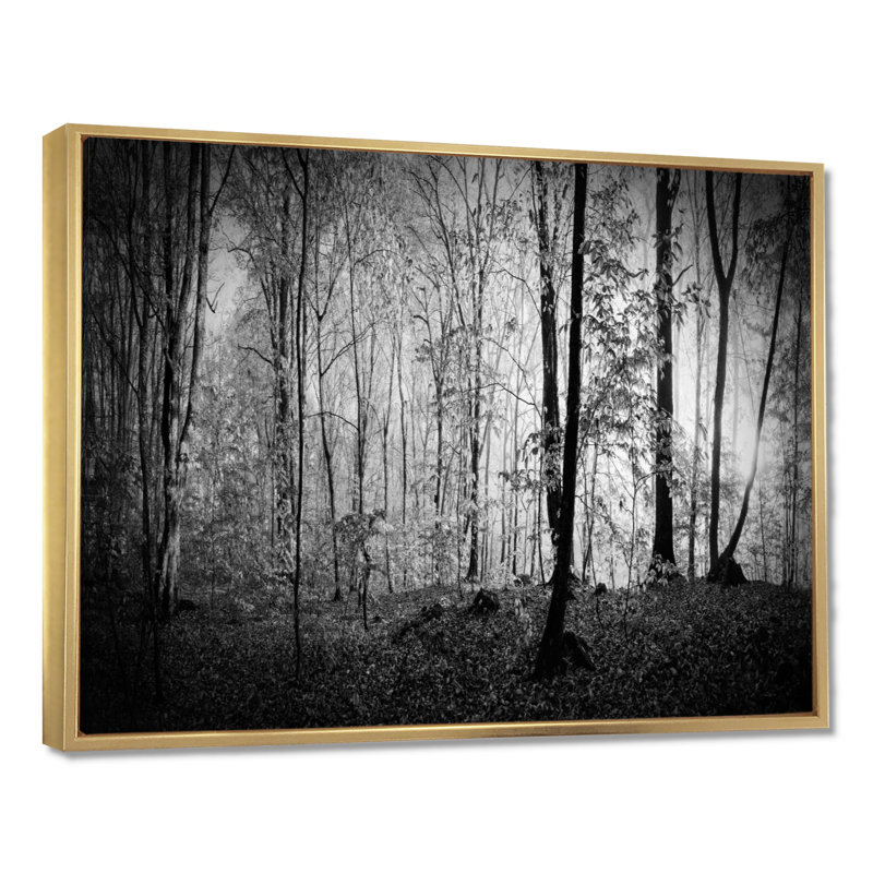 «Beautiful Forest Morning Panorama», reproduction, Cadre flottant doré, H 24 po x l 32 po