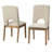 Rosio Dining Chair (Set of 2)